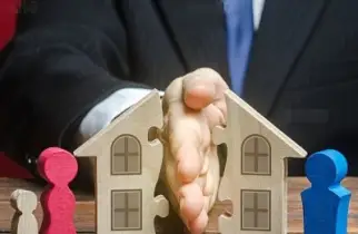 婚内财産分割糾紛案