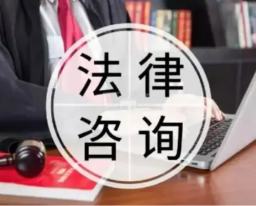 法律咨詢與指導