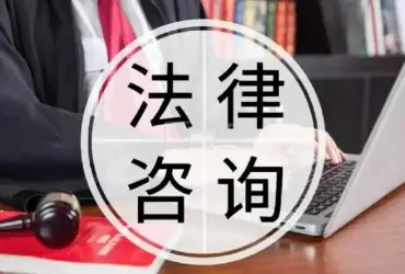 法律咨詢與指導