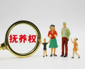 撫養權和(hé / huò)探視權争議