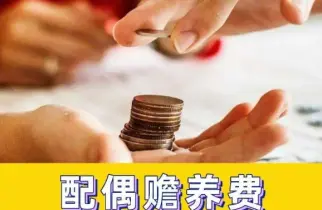 贍養費的(de)确定和(hé / huò)争議解決