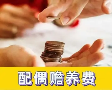贍養費的(de)确定和(hé / huò)争議解決