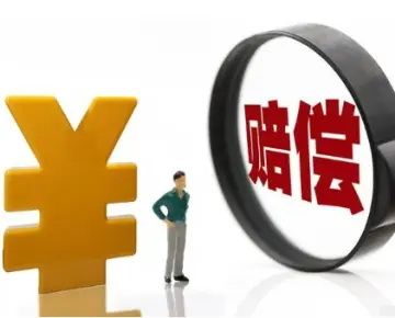 争取損害賠償