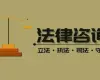法律咨詢與案件評估