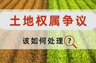 土地(dì / de)使用權糾紛處理