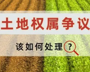 土地(dì / de)使用權糾紛處理