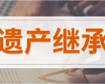 繼承權确認與糾紛處理