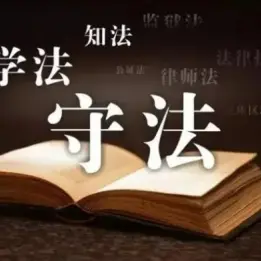 律師的(de)專業背景如何？