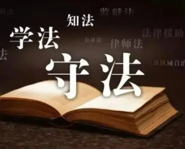 律師的(de)專業背景如何？