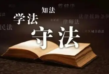 律師的(de)專業背景如何？