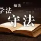 律師的(de)專業背景如何？