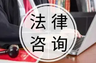 法律咨詢與指導