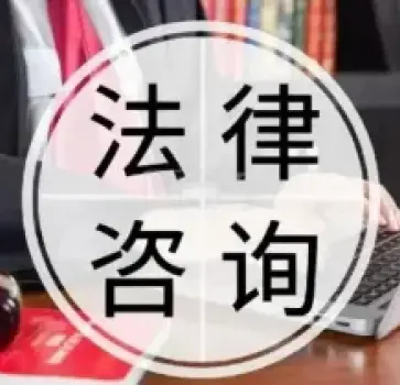 法律咨詢與指導