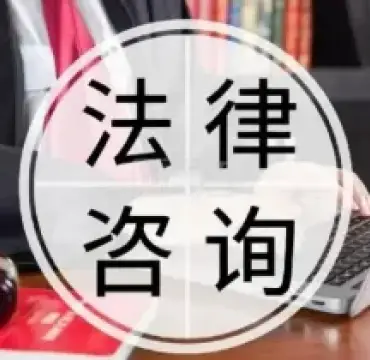 法律咨詢與指導