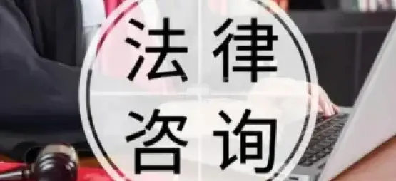 法律咨詢與指導