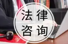 法律咨詢與指導