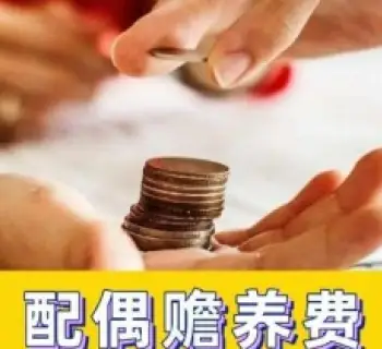 贍養費的(de)确定和(hé / huò)争議解決