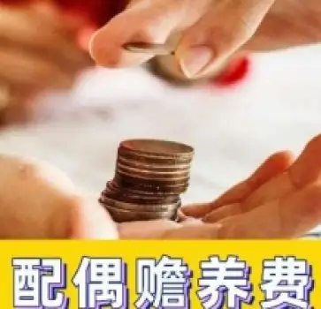 贍養費的(de)确定和(hé / huò)争議解決