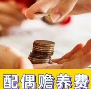贍養費的(de)确定和(hé / huò)争議解決
