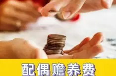 贍養費的(de)确定和(hé / huò)争議解決