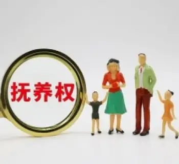 撫養權和(hé / huò)探視權争議