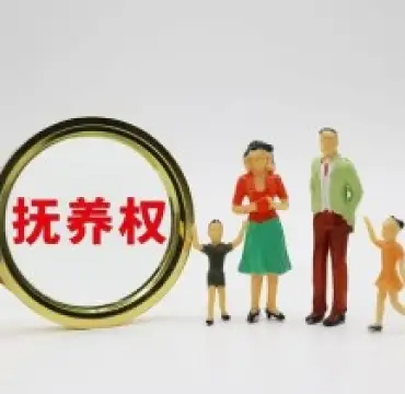 撫養權和(hé / huò)探視權争議