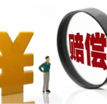 争取損害賠償