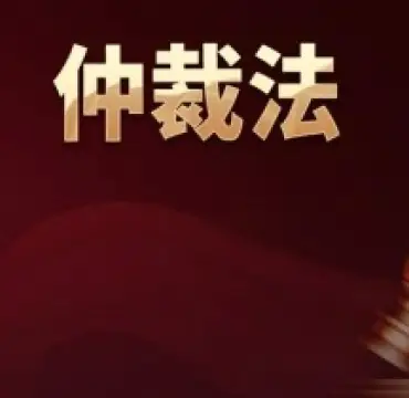代理仲裁與訴訟