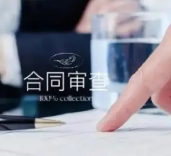 法律咨詢與合同審查