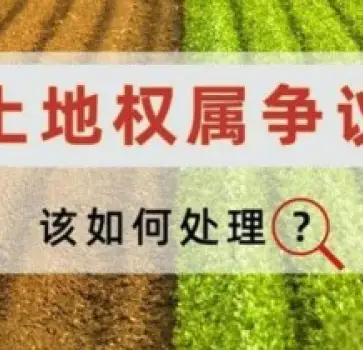 土地(dì / de)使用權糾紛處理