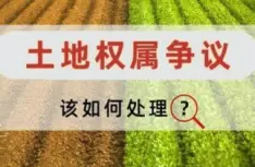 土地(dì / de)使用權糾紛處理