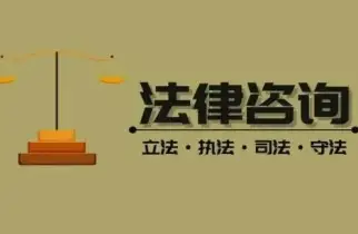 法律咨詢與案件評估